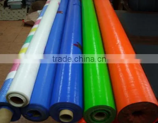 Hot Sale Tear Resistent Pe Tarpaulin photo-5