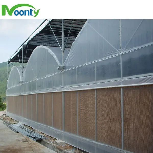 Commercial Use Agriculture Equipment PE Plastic Large Tunnel Vegetables Greenhouse photo-2