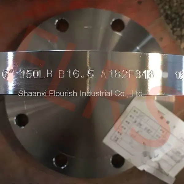 6 Inch Forged Stainless Steel Pipe Blind Flanges ASTM A182 F316 ASME B16.5 photo-2