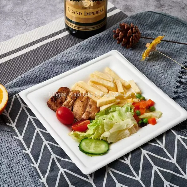10”Hot Selling Party Restaurant Eco-Friendly Disposable Biodegradable Plates Sugarcane Bagasse Square Plates(500/ Case) photo-3