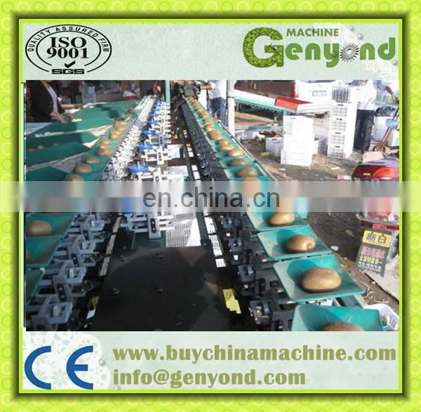 Big Out Onion Sorting Machine photo-2