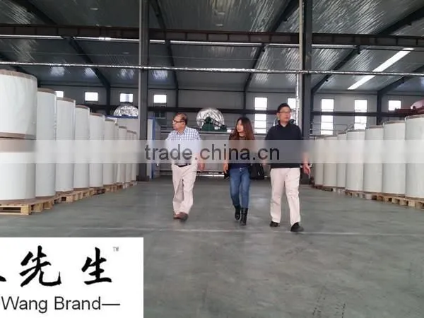 China Fiber Glass Mat Factory/E-glass Fiber Mat/Fiberglass Mat 80g * photo-6