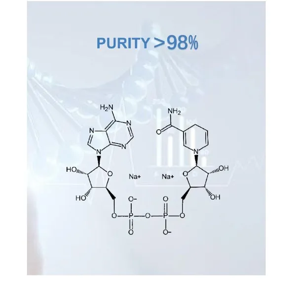NADH β-Nicotinamide Adenine Dinucleotide Disodium Salt photo-3