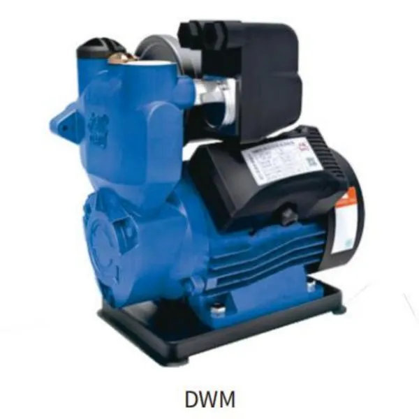 DWM-(Z) Series Peripheral Pumps