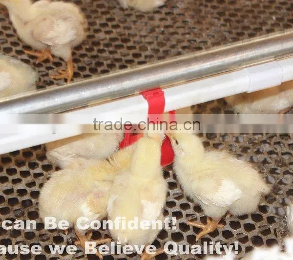 BIRDSITTER Modern Uae Chicken Farm Poultry Broiler Chicken Machine photo-3
