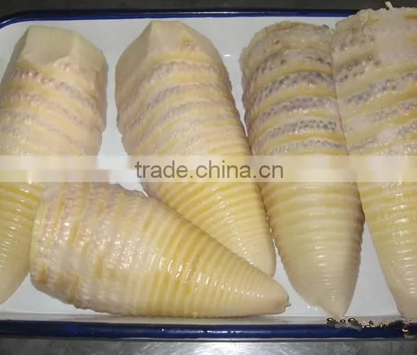 Canned Bamboo Shoot With High Quality photo-4