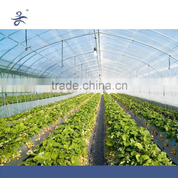Greenhouse Electric Irrigation Water Pump photo-5