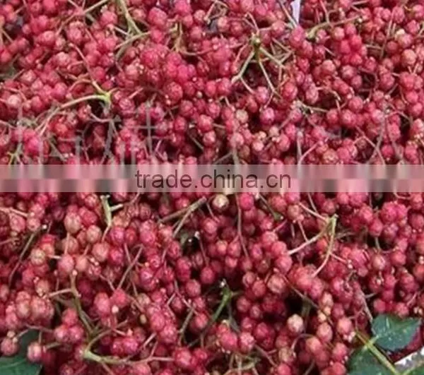 Chinese Huajiao (Chinese Prickly Ash) From Shanxi in China