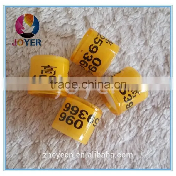 Beautiful Plastic Transparent Full Plastic Bands Cheapest Custom With Name Phone Photo Pigeon Ring photo-3