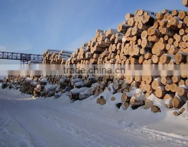 Birch Logs FSC WOOD