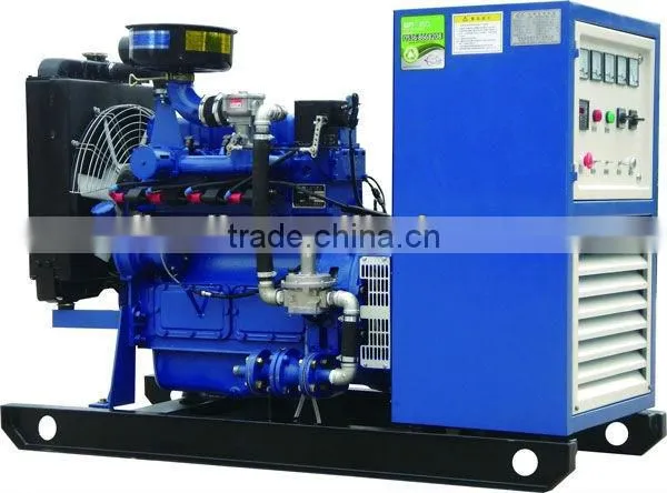 20KW Natural Gas Generator