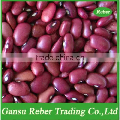 Red Kidney Beans