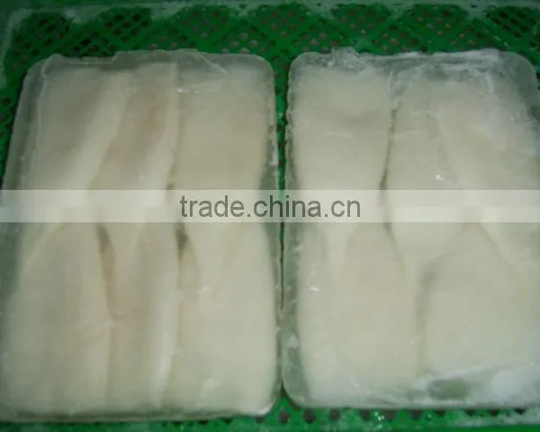 Illex Squid Tube photo-4