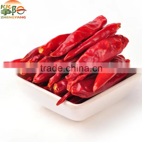 China Manufacturer Supply New Crop Red Hot Pepper Dry Chilli Hot Seasoning