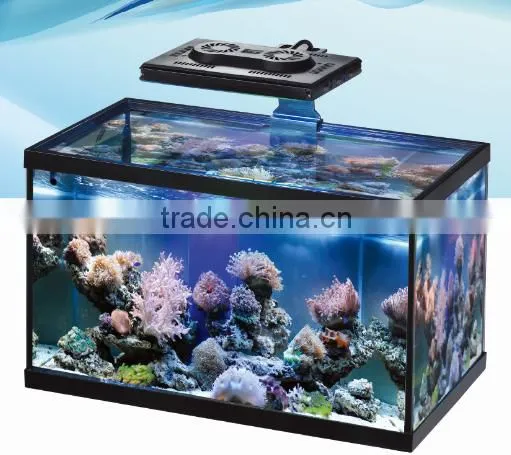 Customize Acrylic Aquarium Tank