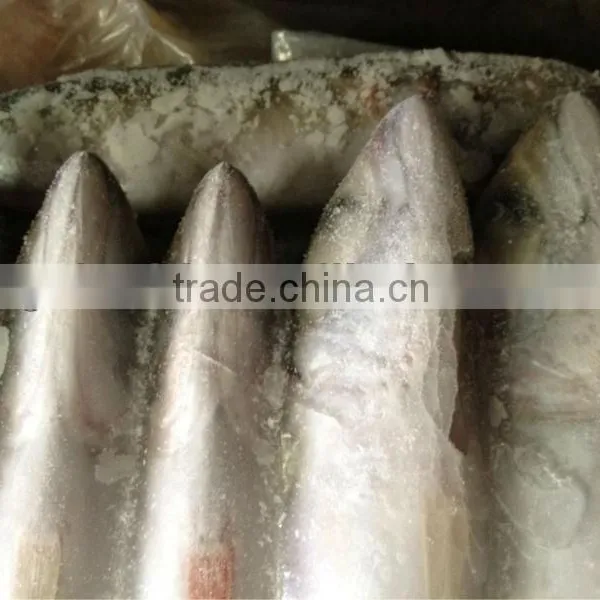 Frozen Whole Round Mackerel Size 200-300g/pcs for Sale photo-3