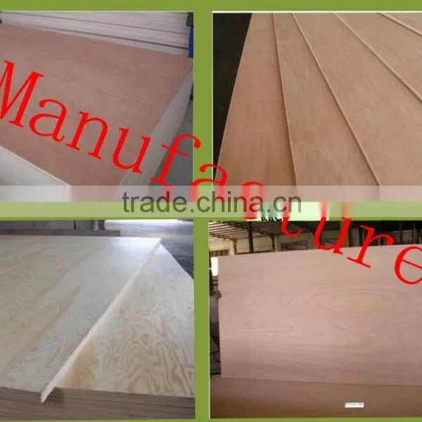 Shandong Multi Wood Sheets With Best Quality photo-5