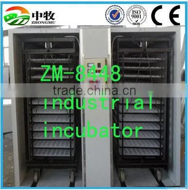 High Quality Multifunctional Egg Incubator for Sale photo-3