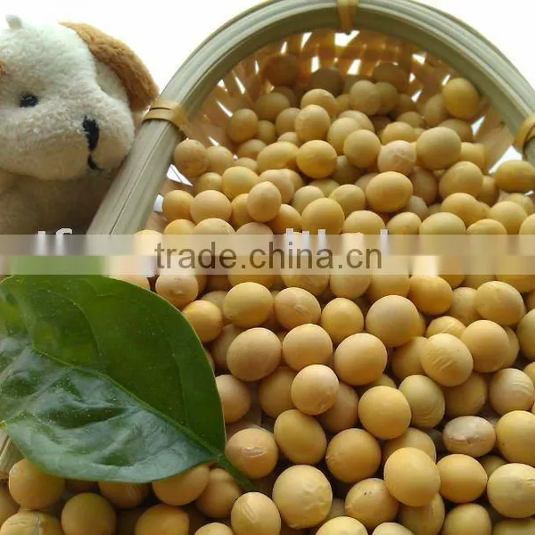 EU,NOP,JAS Certified Organic Soya Bean( 2013 Crop, Heilongjiang Origin)