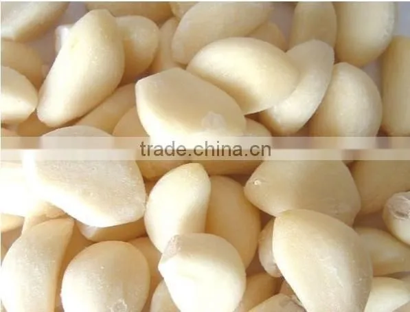 Hot Sale Garlic Peeling Machine/small Garlic Peeling Machine photo-5