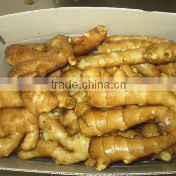 2015 Chinese New Ginger With Best Quality photo-2