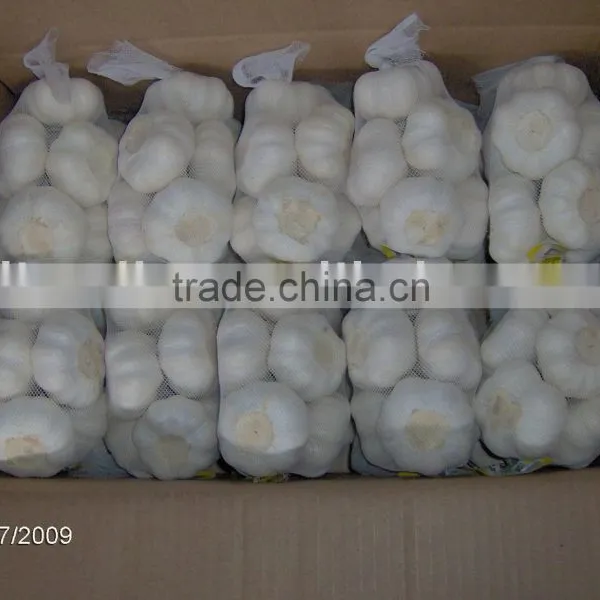 Pure White Garlic