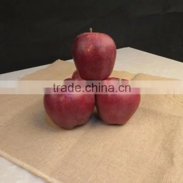 New Crop New Season Huaniu Apple Fresh Apple China Gansu Tianshui Huaniu Apple