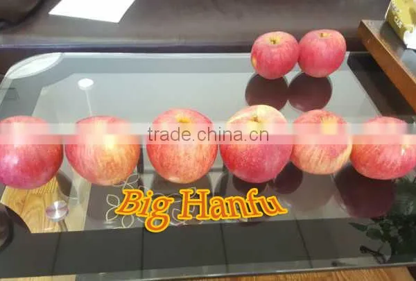 China Supplier of Fresh Red Delicious Bulk Fresh Apples Hanfu Apple Products photo-2