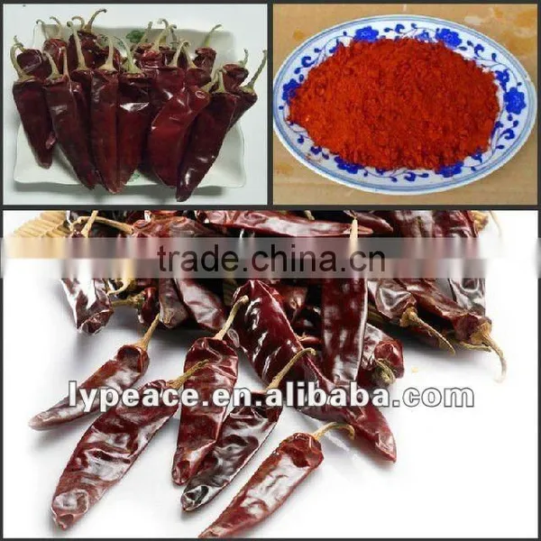 Chinese Dried Chilli for Spice and Condiment