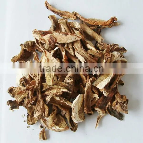 Reliable Supplier Boletus Edulis photo-4