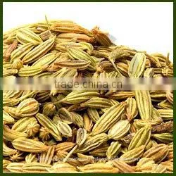 Fennel Seed Oil