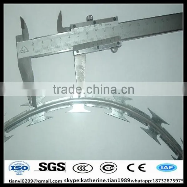 Bto-22 Concertina 300mm Concertina Razor Wire Metal Mesh Ribbion for Protection photo-6