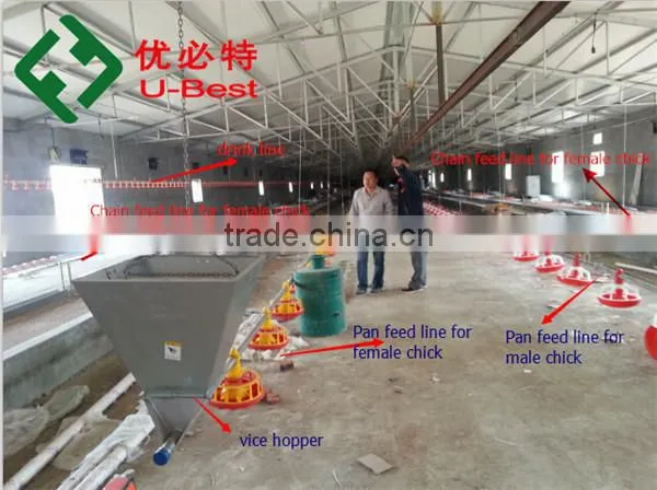 Popular Chicken Automatic Feeder and Drinker for Broiler Parent Breeder photo-2