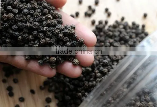 Best Quality Dried Black Pepper 570G/L photo-4