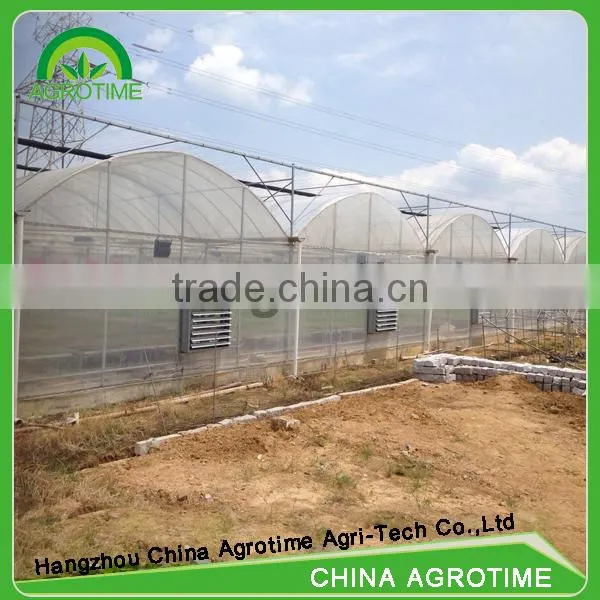 Plastic Multi Span Greenhouse for Sell CMR8060