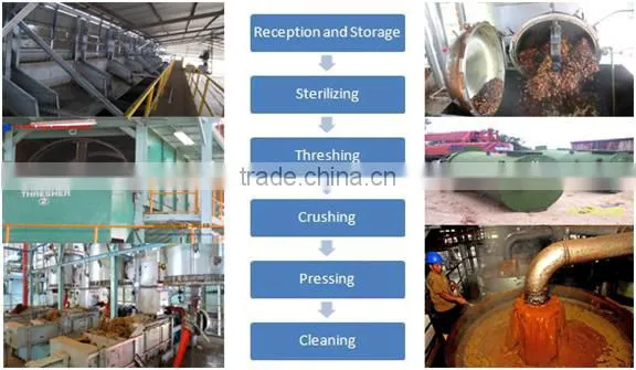 Palm Kernel Oil Processing Plant, Palm Oil Pressing Machine in Indonesia photo-3