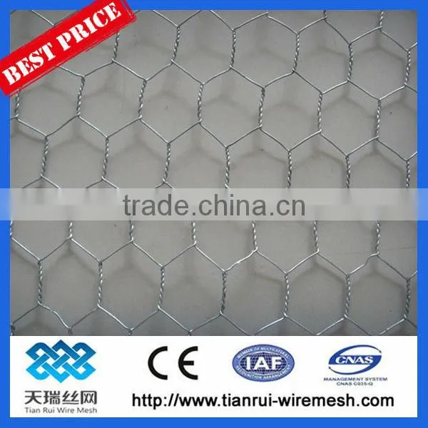 Chicken Wire Mesh/hexagonal Wire Netting/hexagonal Wire Mesh