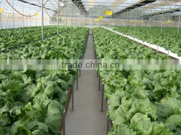 Poly-Film Greenhouse photo-4