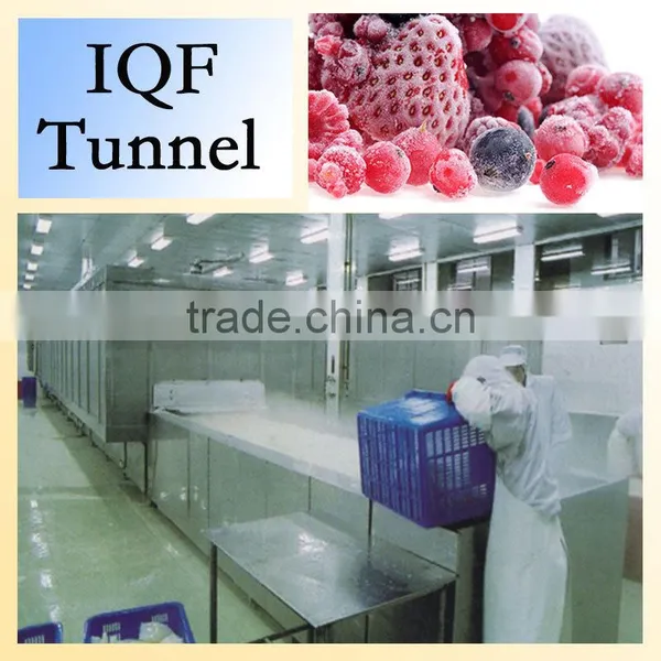 China Manufacturer Iqf Tunnel Freezer Refrigerator photo-4