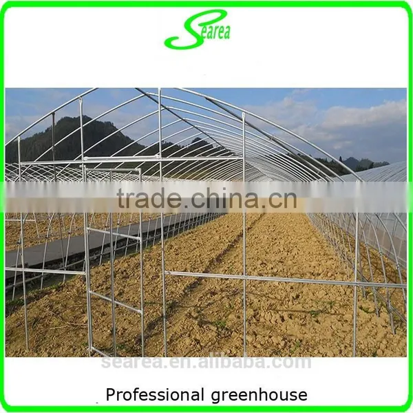 Plastic Film Cover Steel Frame Used Greenhouse photo-3
