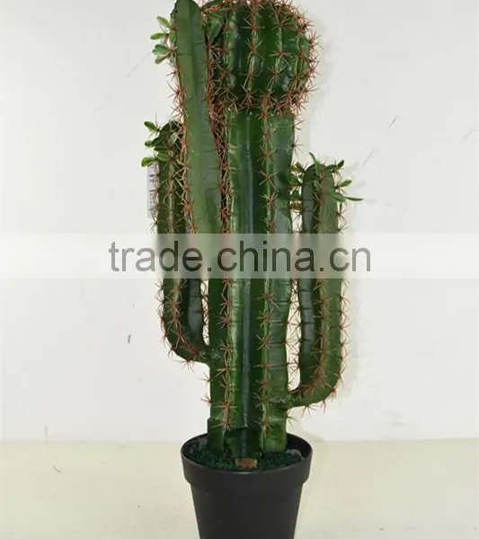 SJ3001106 Plastic Cactus Indoor Outdoor Potted Plant Tree photo-3