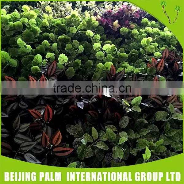 Custom Made Artificial Hot Selling Green Wall Decorative Artificial Plant photo-4