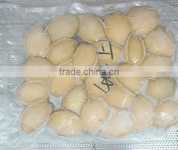 High Quality Fujian Abalone for Sale photo-5