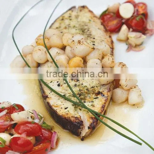 Halibut photo-5