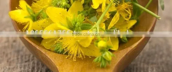 St. John's Wort Oil photo-3