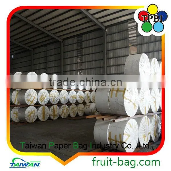 TPBI Cultivator Grow Protection Wax Coating Protective Paper Bag photo-2