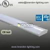 T5 Surface Mounted Luminaire With Acrylic Lens
