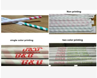 Paper Straw Single Packing Machine In Stock High Speed Individual Plastic Straw Packaging Machine photo-5