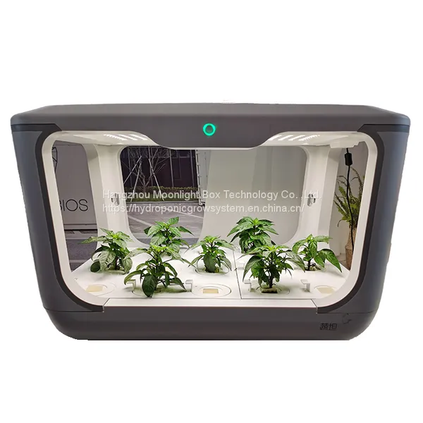 Indoor Hydroponic Automatico Grow Box Smart Mini Grow House Growboxcomplete photo-5