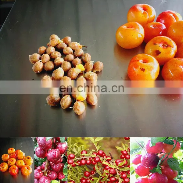 2019 Hot Sale Ouli Cerasus Humilis Dwarf Cherry Core Removing Machine photo-3